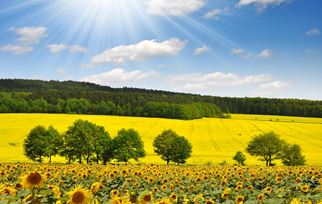 Organizações cooperativas - Agronegócio